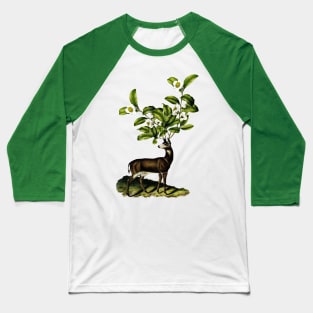 Deer with camellias Baseball T-Shirt